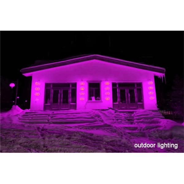 220V Flexible Led Neon Rope Light , Led Strip Lights For Home Decoration