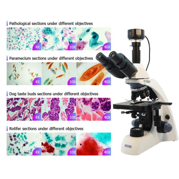 HDMI Digital Eyepiece Microscope Camera A59.4910