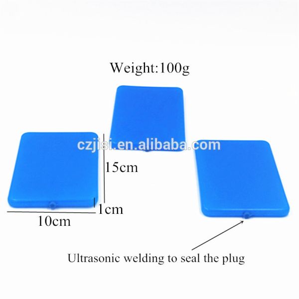 Wholesale Heat Insulation HDPE Materials Cooler Slim Lunch Ice Packs For Lunch Box