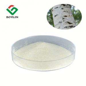 Cheap Natural Herbal Healthcare Usage Extracts Birch Bark Extract for sale