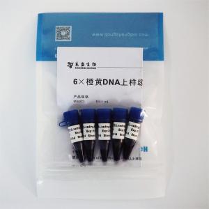 Cheap 6× Gel Loading Dye Three Color DNA Electrophoresis Buffer EDTA 1mlx5 for sale