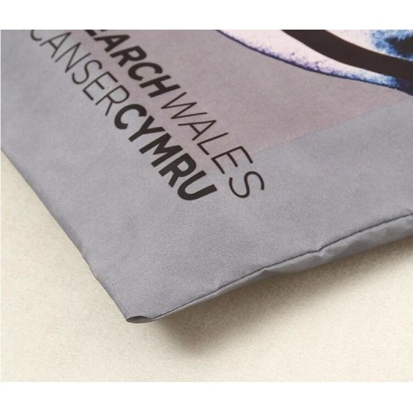 promotional 16 cans insulated cooler tote bag outdoor picnic lunch freezable bag for camping beach travel bags, bagplast