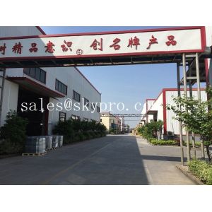 Nanjing Skypro Rubber&Plastic Co.,ltd
