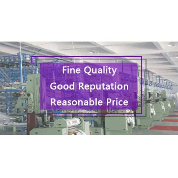 Flat Webbing Polyester Lifting Sling