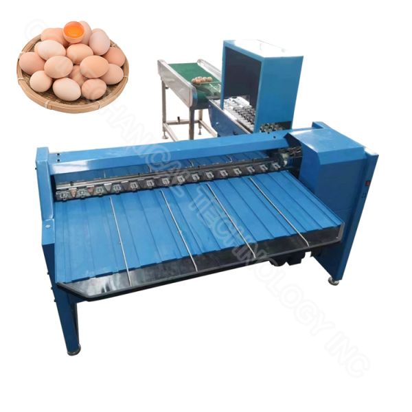 4000pcs/H Chicken Egg Sorter Machine 200w Automatic Egg Grading Machine By Weight