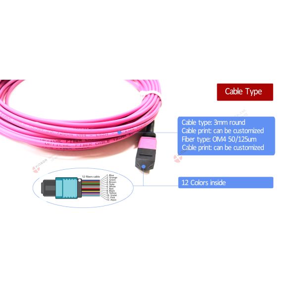 Data Center Multi Mode MTP MPO Cable Om4 Flat , Fiber Optic Patch Cable Assembly