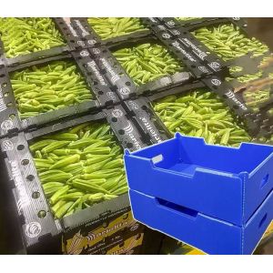 China Corrugated Plastic Crates PP Hollow Sheet Box Lightweight Waterproof vegetables on sale