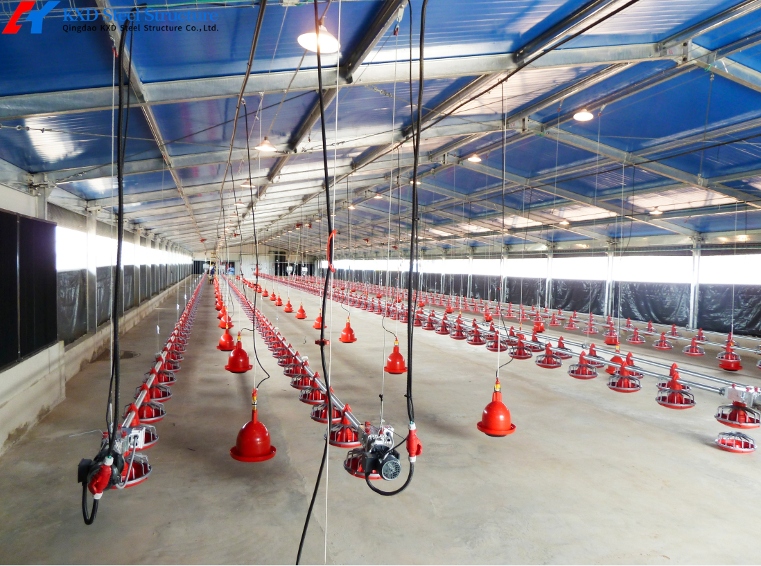 Automatic Feeding System For Broilers And Layers