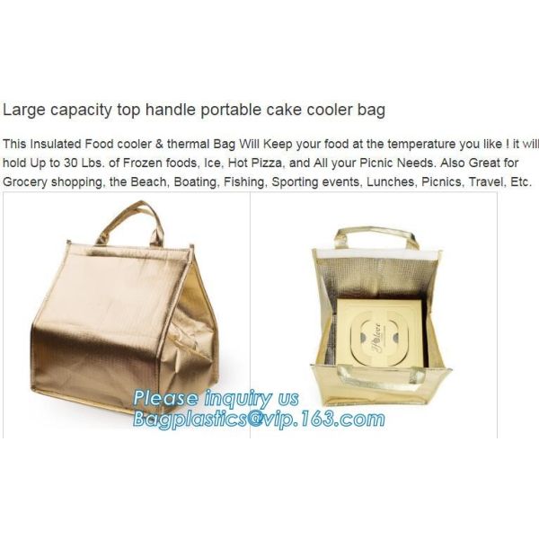 Freezer Bags Color Cold Insulation Waterproof Convenient Portable Ice Meal Packages Refrigerator Cooler Lunch Bag bageas