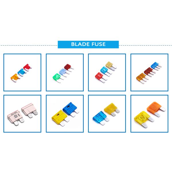 80V Standard Car Auto Fuse