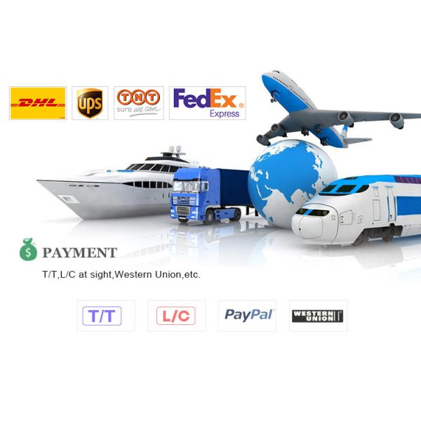 Multipurpose Custom Logo Bpa Free 24 Oz Plastic Tumblers Matte Double Wall Acrylic Cup 450/700ml Eco Friendly Dishwasher Safe Easy To Clean