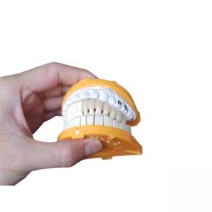China Custom Size PFM Ceramic Crowns For Posterior And Anterior Teeth on sale