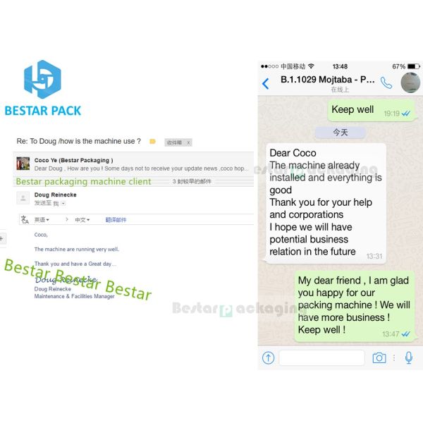 Automatic packaging machine with 12 heads scale counting and weighing both functions BSTV-450AZ