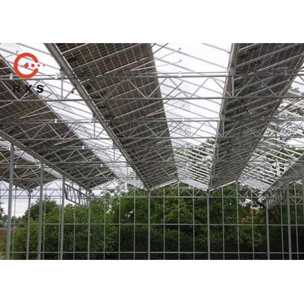 Dual Glass Monocrystalline Solar Panel , 305W Perc Solar Panel Transparent Type