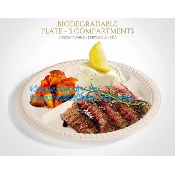 100% Biodegradable, 100% Compostable PLA Drinking Straws pla biodegradable drinking straw wholesale,Corn Starch Biodegra