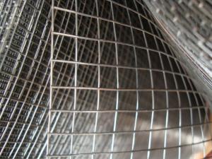 Cheap 1/4 1/2 PVC Coated / Galvanised Welded Wire Mesh Panels For Constructing Fence for sale
