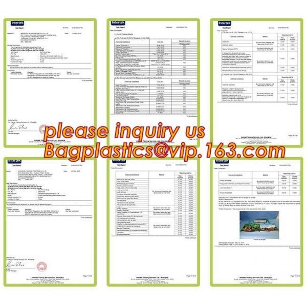 promotional 16 cans insulated cooler tote bag outdoor picnic lunch freezable bag for camping beach travel bags, bagplast