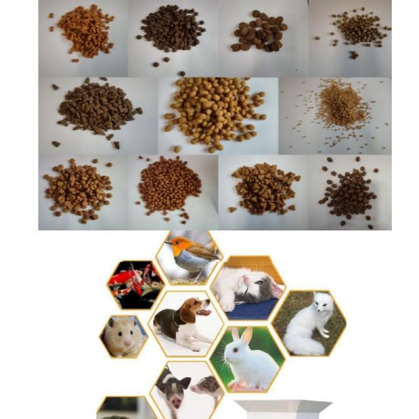 Twin Screw Floating Fish Feed Extruder Machine Wet Type Fish Feeder Machine Line