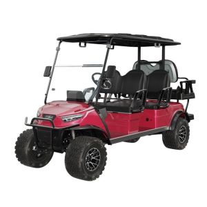 Street Legal Golf Cart NL-JA4 2.G Electric Buggy for Sightseeing Club 10% Climbing Ability 30Km/h Max. Speed