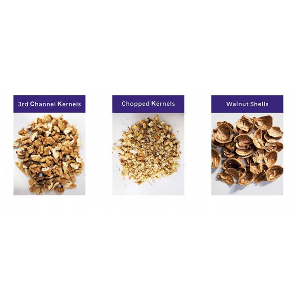 Auto Walnut Shelling Machine With Kernel Shell Separation