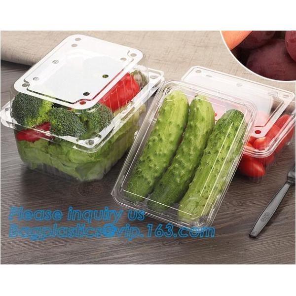 100% Biodegradable, 100% Compostable PLA Drinking Straws pla biodegradable drinking straw wholesale,Corn Starch Biodegra