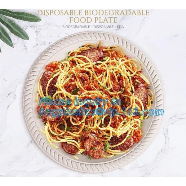 100% Biodegradable, 100% Compostable PLA Drinking Straws pla biodegradable drinking straw wholesale,Corn Starch Biodegra