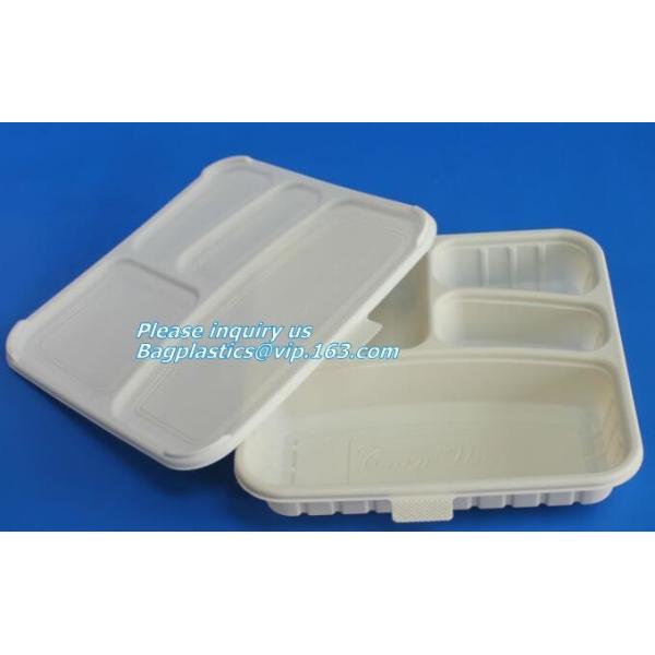 100% Biodegradable, 100% Compostable PLA Drinking Straws pla biodegradable drinking straw wholesale,Corn Starch Biodegra