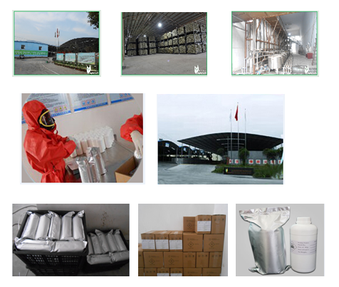 100% natural Nicotine,L-nicotine liquid 99%