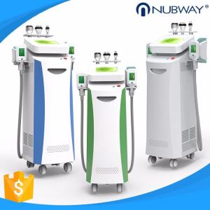Cheap 2019 Most Popular Smart Freezing Cryolipolysis Machine for Weight Loss/Plastic Surgery for sale