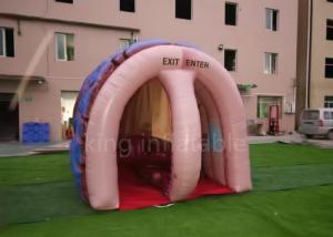 China Exhibition Inflatable Simulation Human Brain Model For Medical Show on sale