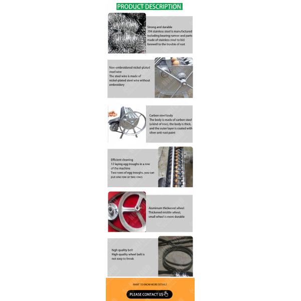 Multifunctional Egg Processing Equipment Egg Grading Machine Duck Egg Sorting Classifier Machine