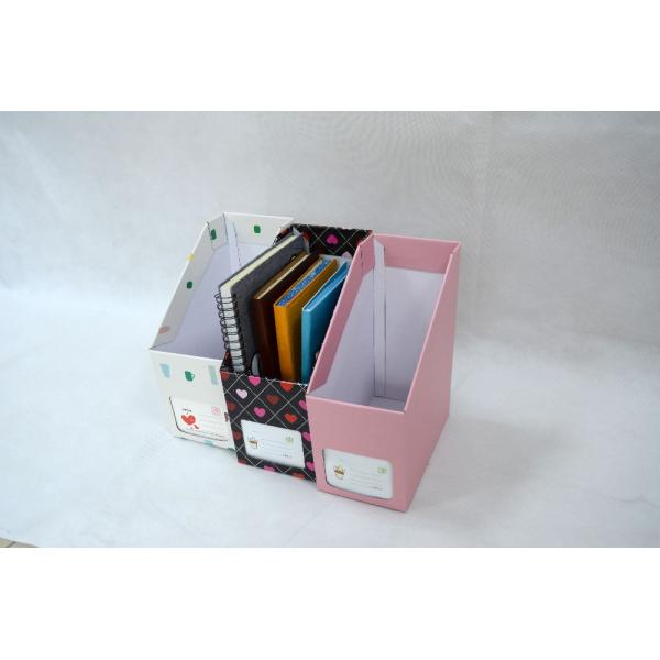Minimalist Design Office Organizer and Magazine Storage Solution for Office Management