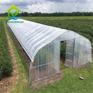 China Economical 200 Mircon Polyfilm Walk In Tunnel Greenhouse For Tomato on sale