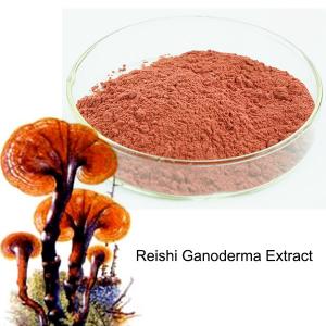 China Natural Reishi Ganoderma Extract Powder 10% ~ 30% Polysaccharides on sale