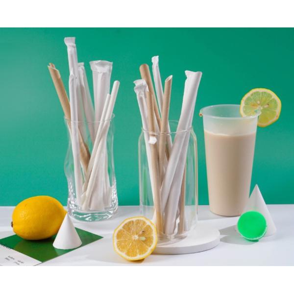 Food Grade Certified Eco Disposable 100% Biodegradable Kraft Paper Straws 12*230MM