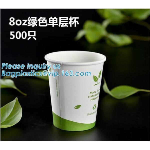 100% Biodegradable, 100% Compostable PLA Drinking Straws pla biodegradable drinking straw wholesale,Corn Starch Biodegra