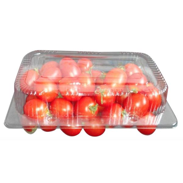 TTF-AF Plastic Thermoforming Machine , Automatic Vacuum Forming Machine Four Station