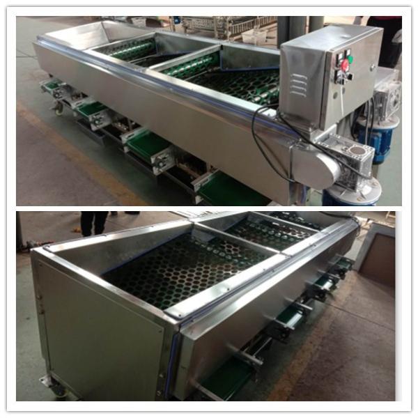 Mushroom grading machine, mushroom sorting machine,mushroom classification machine