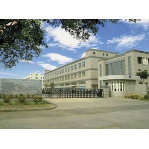 ShenZhen Hua Xing Watches Co.,Ltd