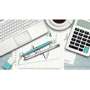 Cheap Complex Business Accounting Services Decrease Expenses Precise Calculating for sale