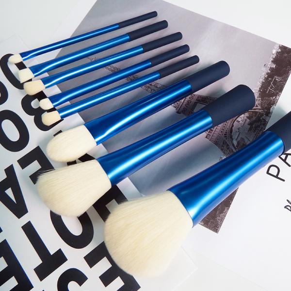 Pro Level Quality Full Face Makeup Brush Set With Durable Blue Plastic Handle