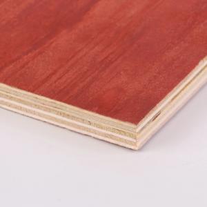 Cheap Commercial 18mm Structural Plywood Sheets Eucalyptus Pine Plywood Sheets for sale