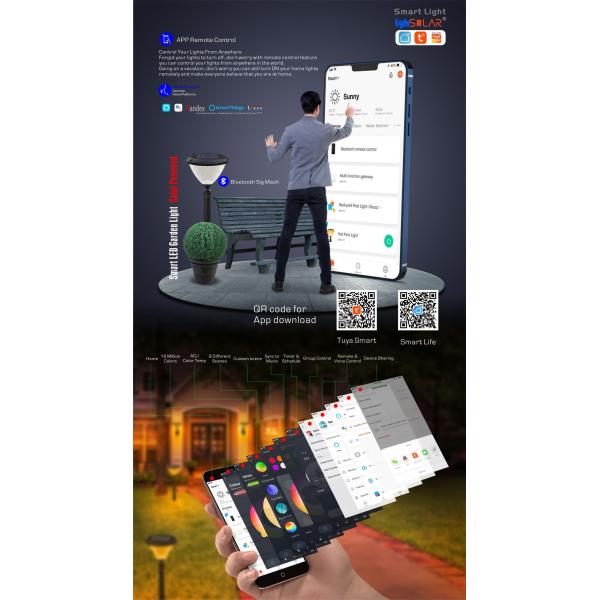 Smart Solar Pathway Light