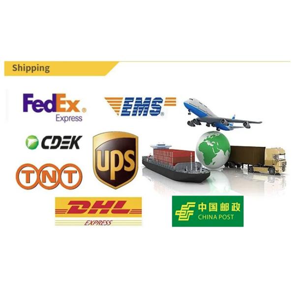 Precision Blade Knife MBO Folder Parts Stahl Folding Machine Spare Parts