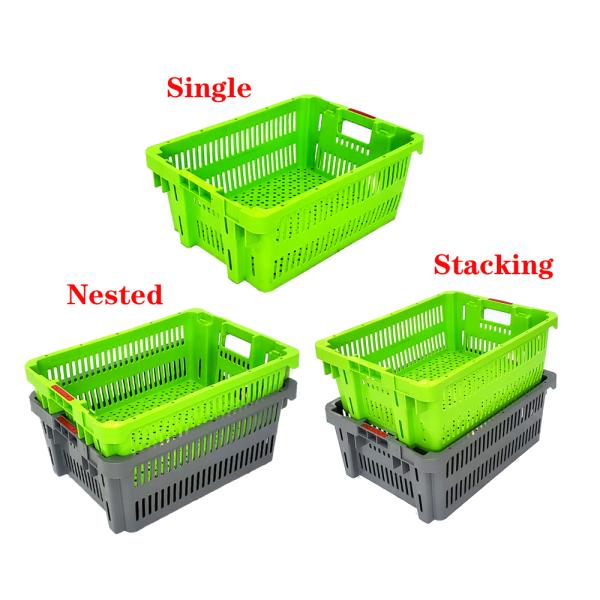Home Goods Multi-Purpose Plastic Basket for Storing Fruits and Vegetables Efficiently