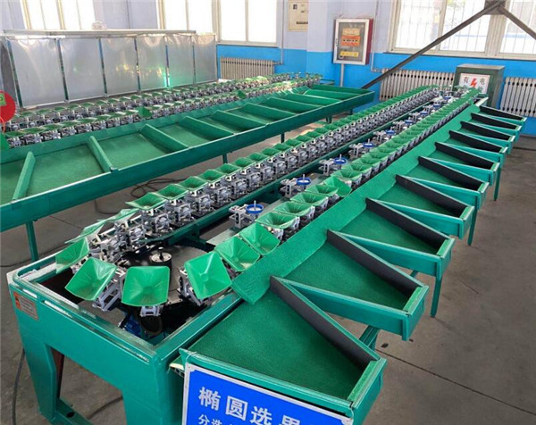 fruit weight sorting machine,fruit weight classifier,apple sorting machine,orange sorter