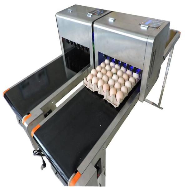 Popular Eggs Number Inkjet Printer With High Resolution For Egg Supplier