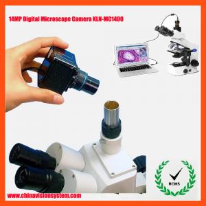 Cheap 3.0Megapixels USB Microscope Digital Camera,Microscopy Camera for sale