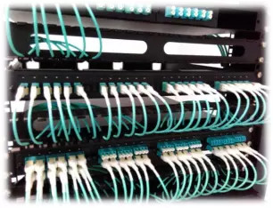 1310nm Network Multimode Duplex MPO MTP Patch Cord