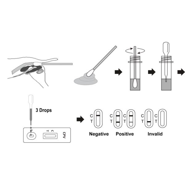 White Rapid CPV Antigen Test Kit With Testing Window